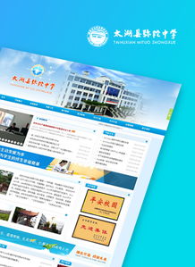 安徽网站建设首选品牌司瓦图网络 专业合肥网站建设与网络服务引领者