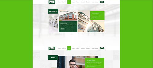 雷士光电官方网站建设项目 构建专业数字门户，照亮品牌未来