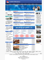 专业网站设计助力企业腾飞 行业网站建设案例解析